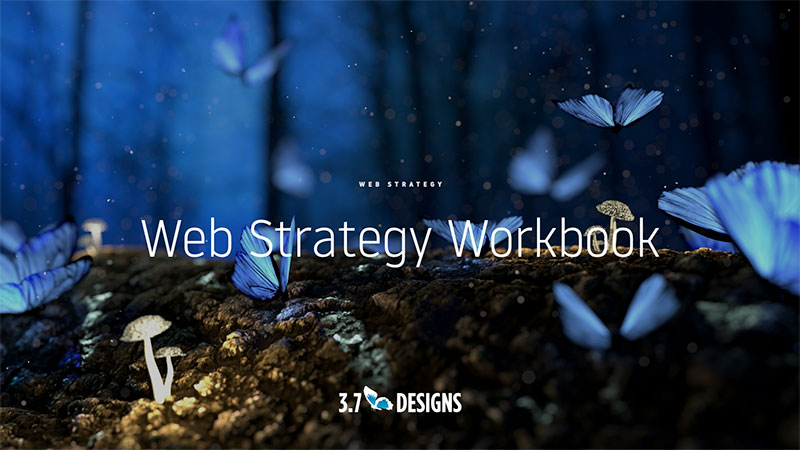 web-strategy-workbook
